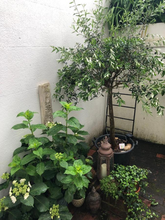 Olive Tree Apartment Hove Extérieur photo
