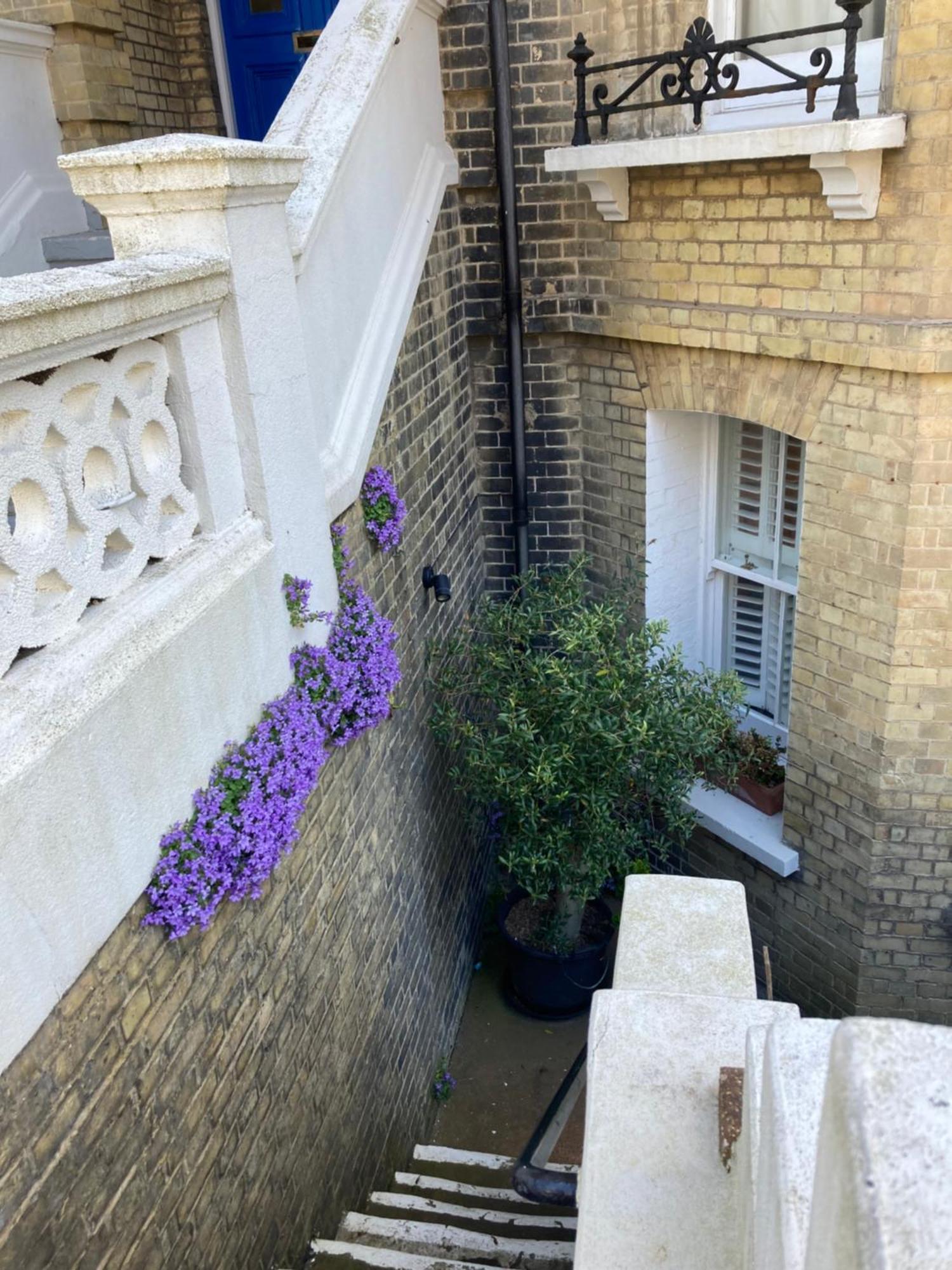 Olive Tree Apartment Hove Chambre photo
